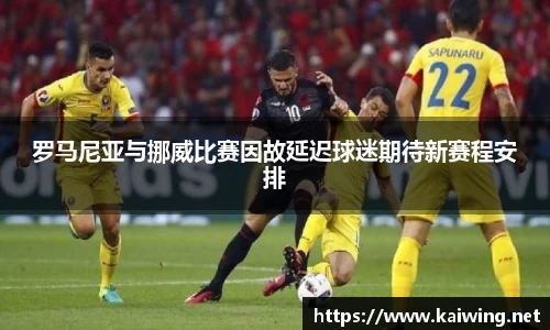 罗马尼亚与挪威比赛因故延迟球迷期待新赛程安排